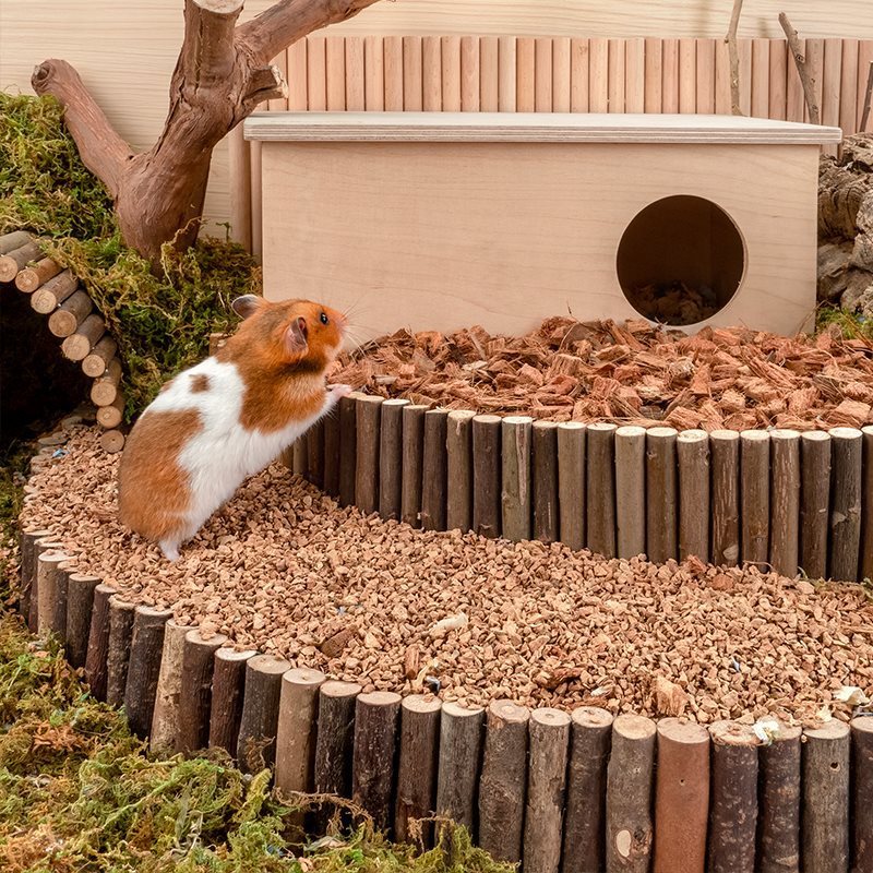 Transform Your Hamster's Habitat with Oak Cork Bedding!